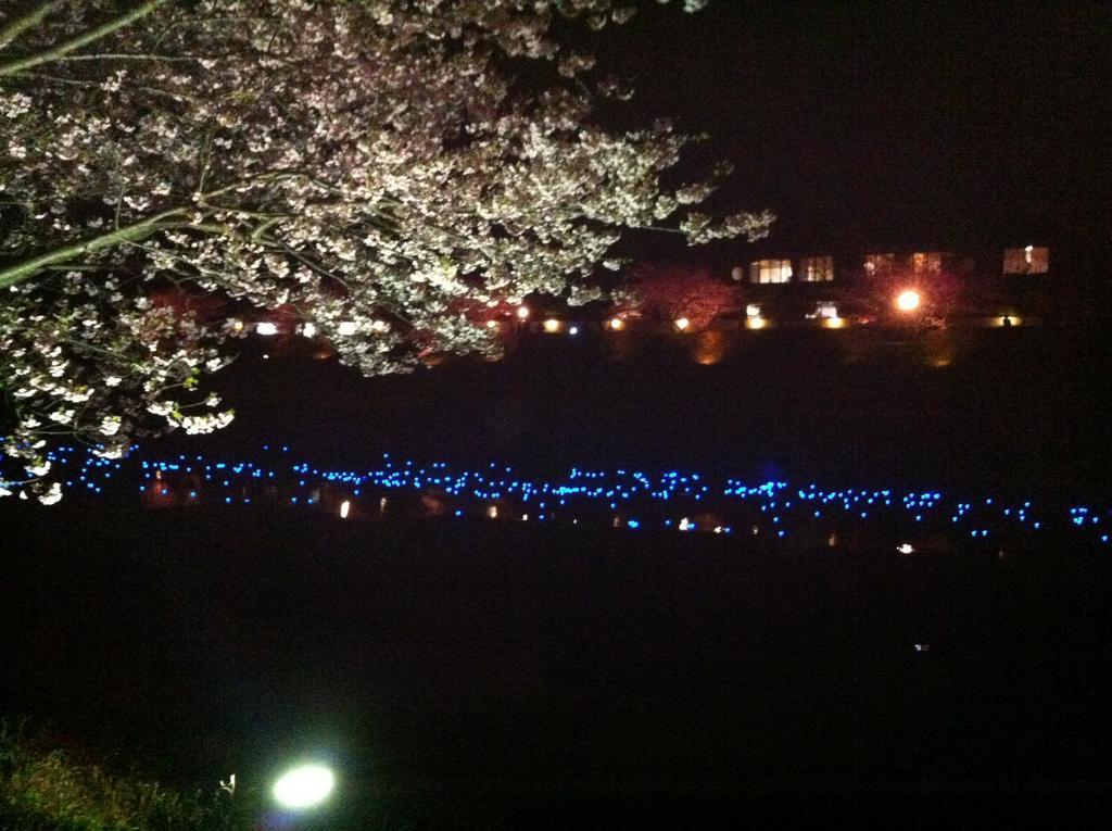 Hareya Otel Shimoda  Dış mekan fotoğraf