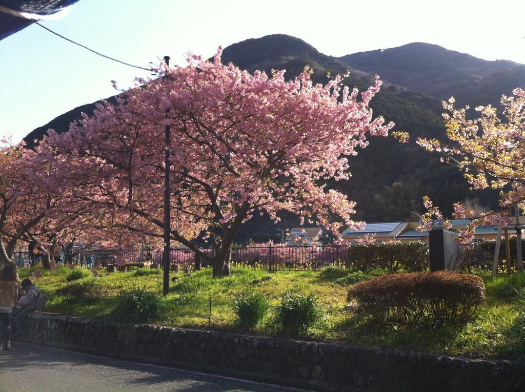 Hareya Otel Shimoda  Dış mekan fotoğraf