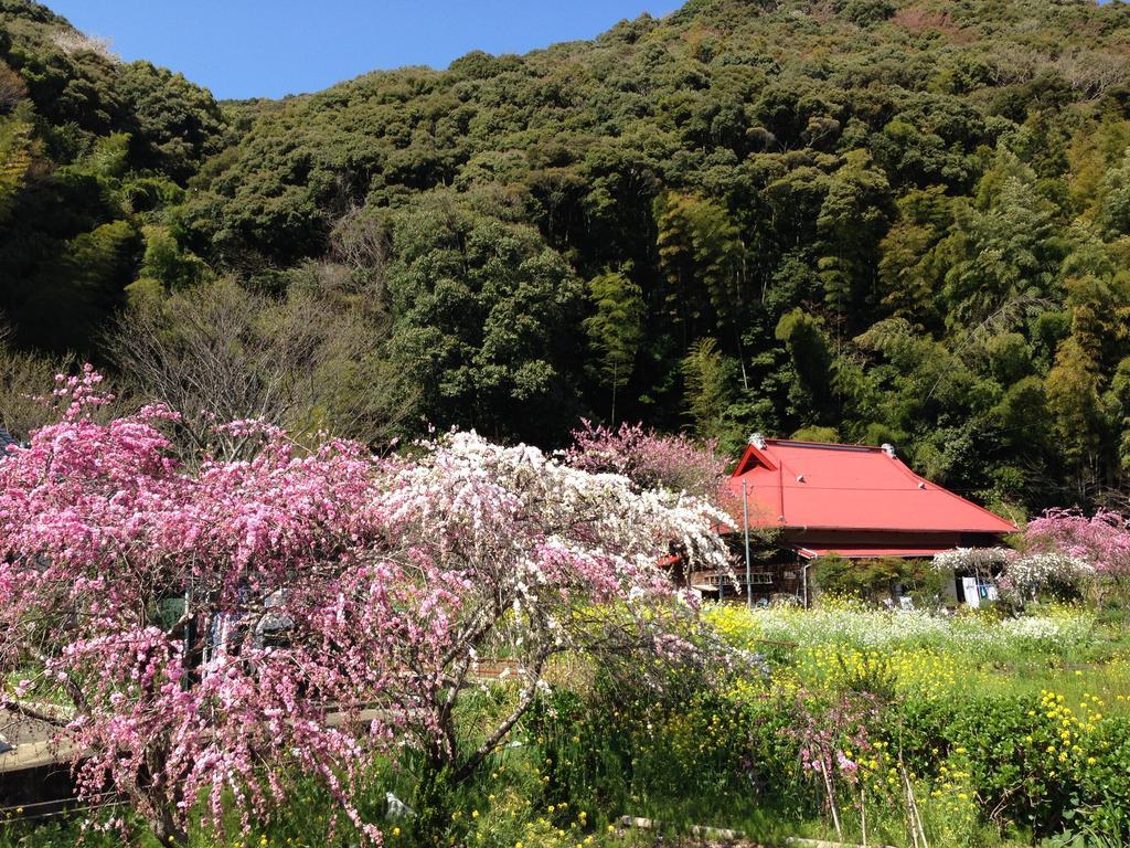 Hareya Otel Shimoda  Dış mekan fotoğraf