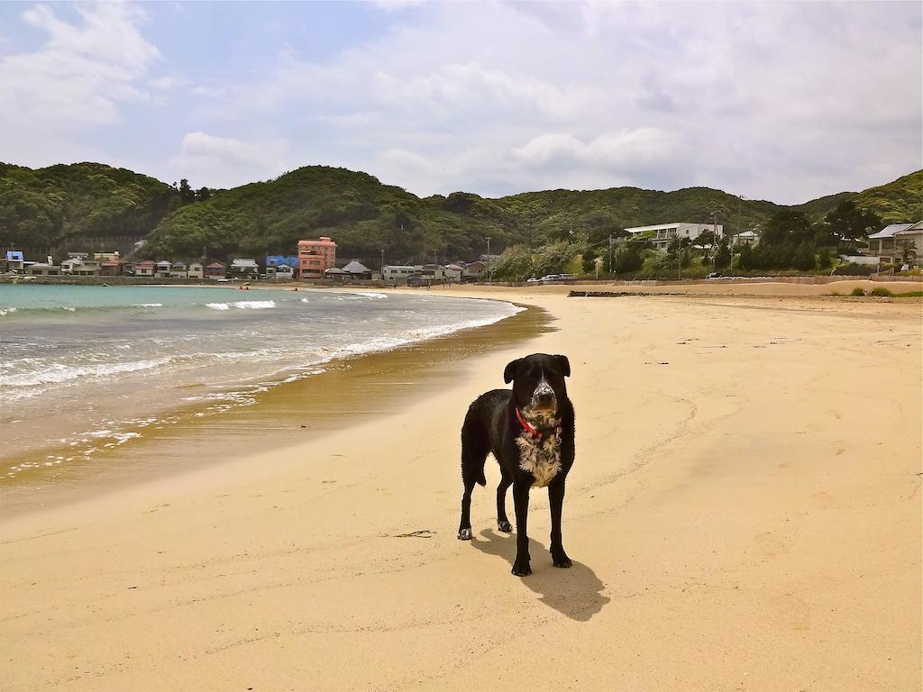 Hareya Otel Shimoda  Dış mekan fotoğraf